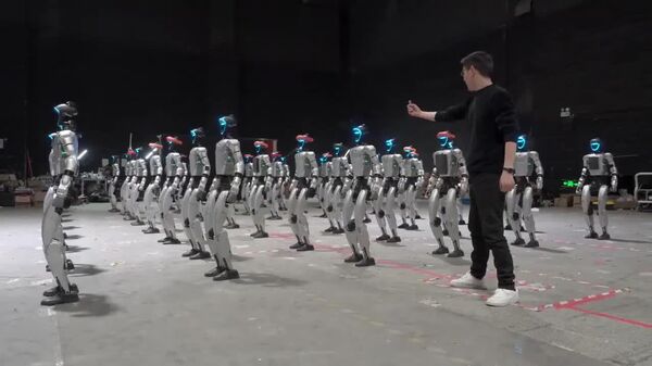 #viral | Humanoid Robots Are Currently at Development Level of a Ten-Year-Old Child: Developer - Sputnik Africa