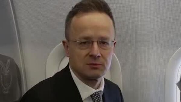 Hungary Blocks 20th Package of Anti-Russia Sanctions, $106 Billion Loan to Ukraine, FM Says - Sputnik Africa