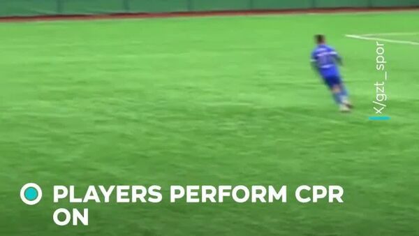 #viral | Team Captain Saves Seagull With Impromptu CPR After Football Mishap in Turkey - Sputnik Africa