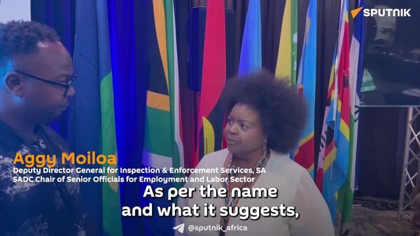 Employment Challenges Are More Common Than Different, SADC Senior Official Says - Sputnik Africa