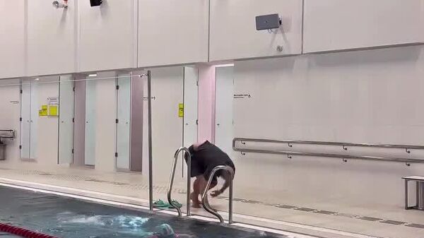 #viral | If Only All Teachers Were So Passionate About Their Work - Sputnik Africa