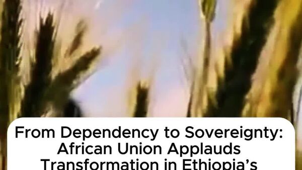 African Union Commission Hails Ethiopia’s Wheat Production Success as 'Historic Milestone' - Sputnik Africa