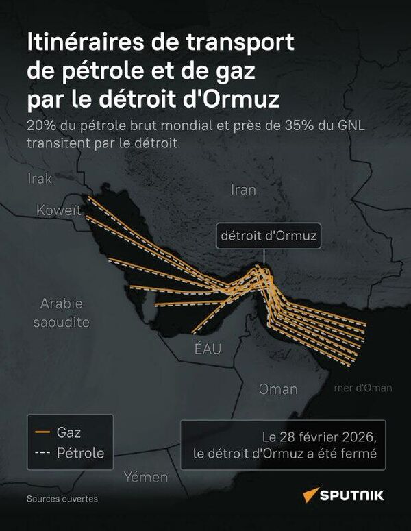 Itinéraires de transport de pétrole et de gaz par le détroit d'Ormuz - Sputnik Afrique