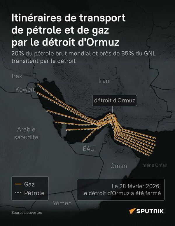 Itinéraires de transport de pétrole et de gaz par le détroit d'Ormuz - Sputnik Afrique