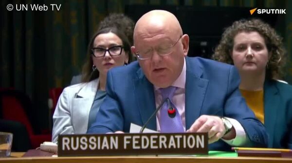 US-Israeli aggression on Iran threatens to spiral beyond region's borders — Nebenzia - Sputnik Africa