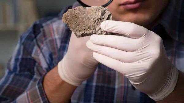 Percée paléontologique: l'Algérie découvre pour la première fois les restes d'un ancien reptile marin - Sputnik Afrique