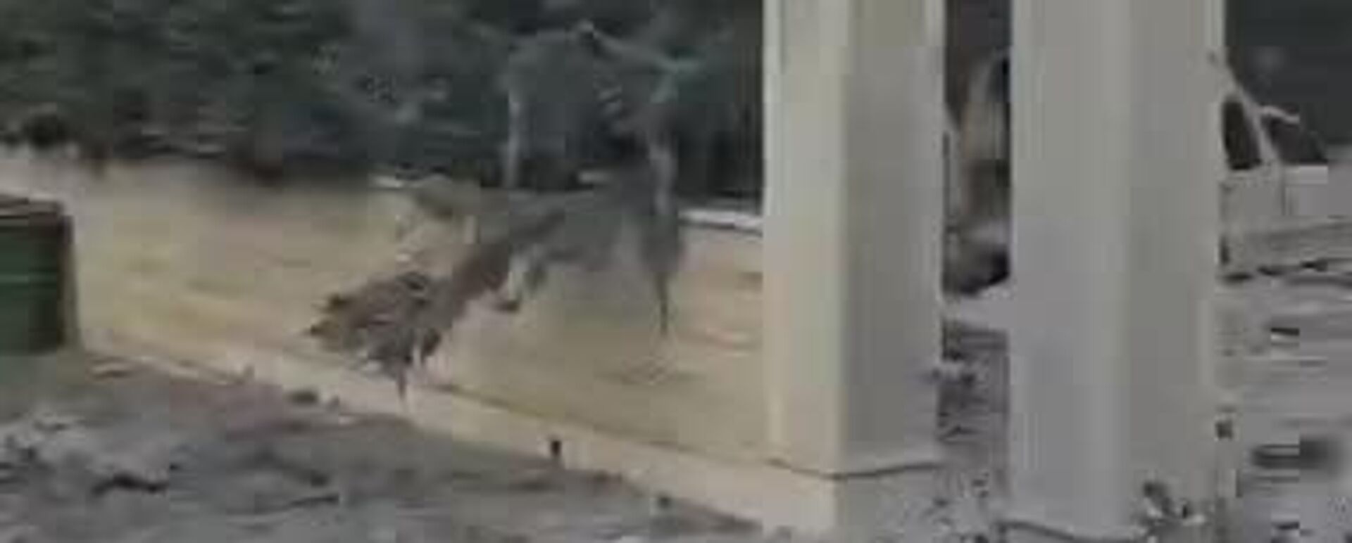 Israël intensifie ses frappes au Liban - Sputnik Afrique, 1920, 02.03.2026