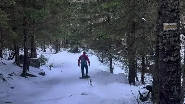 #viral | Ice Studs? Why to Waste Money, If Forest Full of Alternate Means to Walk on Ice - Sputnik Africa