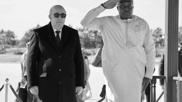 Ce gazoduc mettra l'Algérie, le Niger et le Nigéria en position de force face à l'Europe - Sputnik Afrique