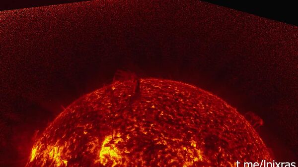 #viral | Million-Kilometer Solar 'Serpent' - Sputnik Africa