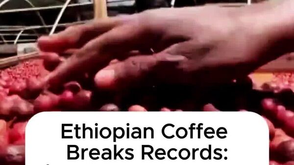 Ethiopia's Coffee Exports Hit $1 - Sputnik Africa
