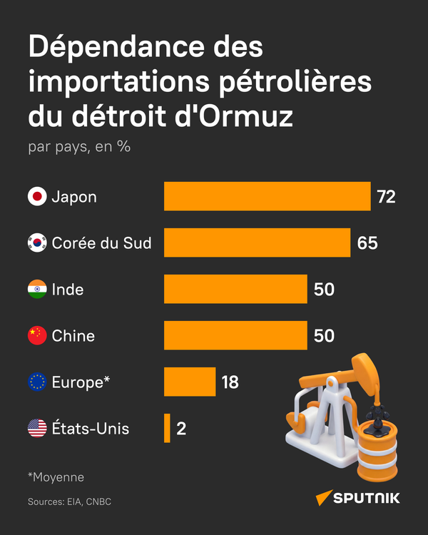 Dépendance des importations pétrolières du détroit d'Ormuz - Sputnik Afrique