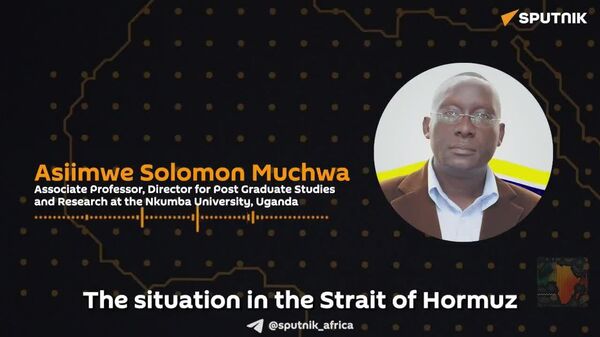 Even Us in Africa, We Are Facing This,: Professor Exposes how Strait of Hormuz Crisis Threatens African Economies - Sputnik Africa