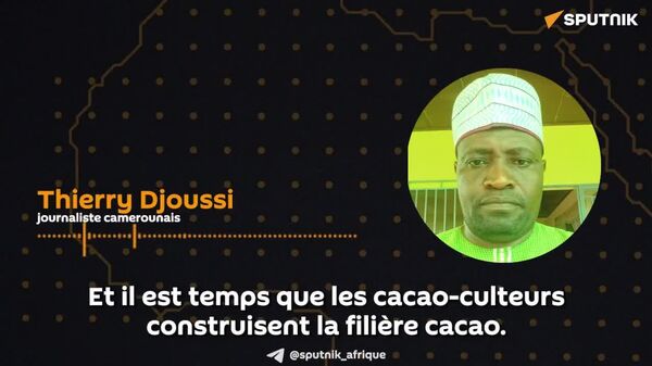 Il est temps que les cacaoculteurs construisent la filière cacao au Cameroun - Sputnik Afrique