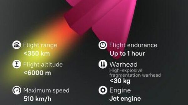 Hadid-110: Iran’s kamikaze drone with superior capabilities - Sputnik Africa