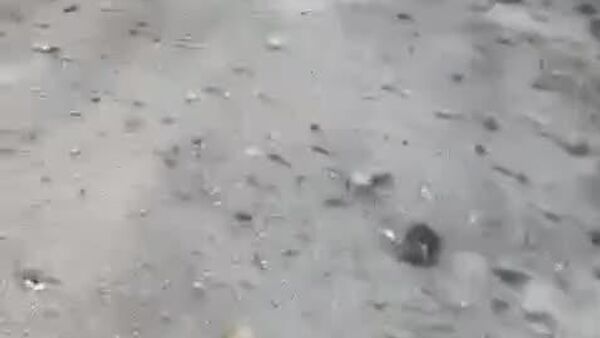 ▶ Tsahal frappe de nouveau les villes du sud du Liban - Sputnik Afrique