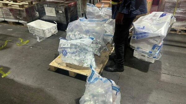 South African Police Intercept Drug Haul Worth $169 - Sputnik Africa