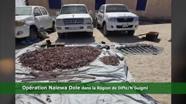 L'armée nigérienne a neutralisé 265 éléments terroristes en février - Sputnik Afrique