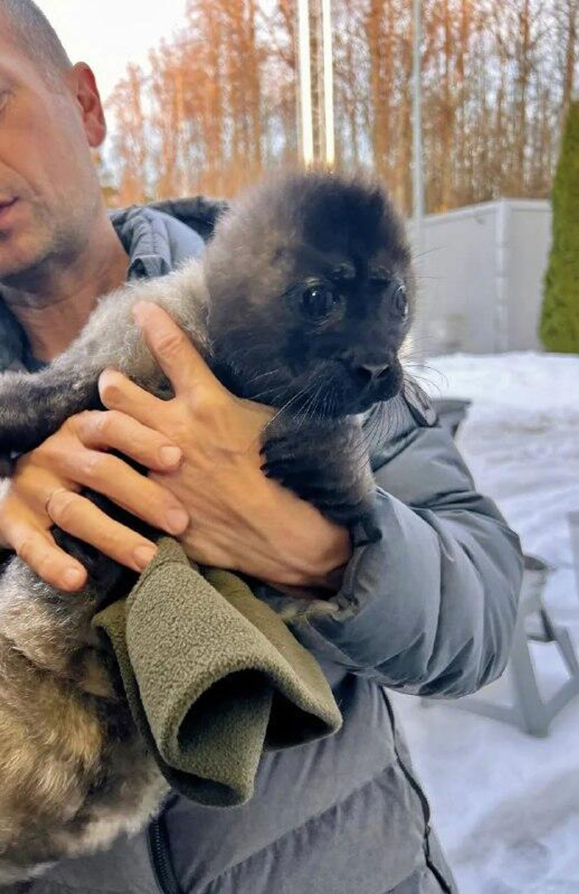 #viral | Baby Seal Saved From Seagulls in Russia - Sputnik Africa, 1920, 09.03.2026
