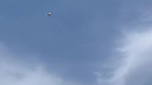 #viral | Dogfight Over Dubai: Tourists Record UAE Fighter Jet Firing at Drone - Sputnik Africa