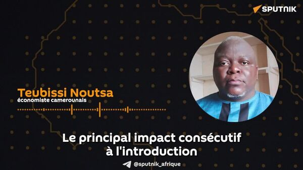 Cryptos ou monnaies numériques de banque centrale: le match pour la souveraineté est lancé, selon un économiste camerounais - Sputnik Afrique