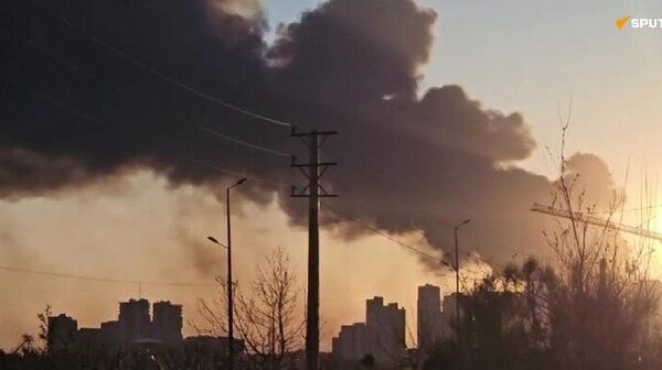 US & Israel Dangerously Apply 'Peace Through Strength' Doctrine: Palestinian Official - Sputnik Africa