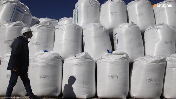 Guerre au Moyen-Orient: cinq pays africains parmi les plus exposés à la crise du marché des engrais, selon l’Onu - Sputnik Afrique