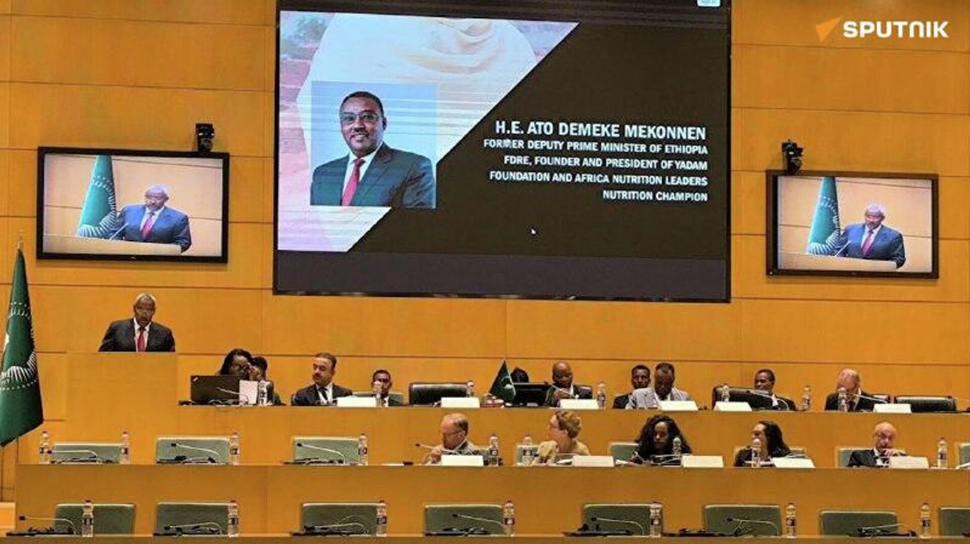 Africa Must Transition From Vision to Action to Eradicate Hunger: Former Ethiopian Deputy PM Africa Must Transition From Vision to Action to Eradicate Hunger: Former Ethiopian Deputy PM - Sputnik Africa, 1920, 10.03.2026