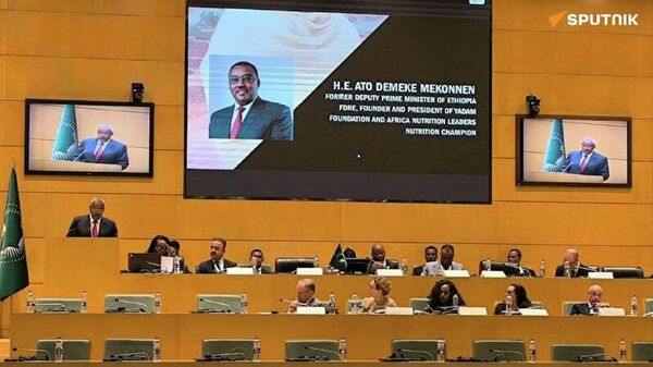 Africa Must Transition From Vision to Action to Eradicate Hunger: Former Ethiopian Deputy PM - Sputnik Africa