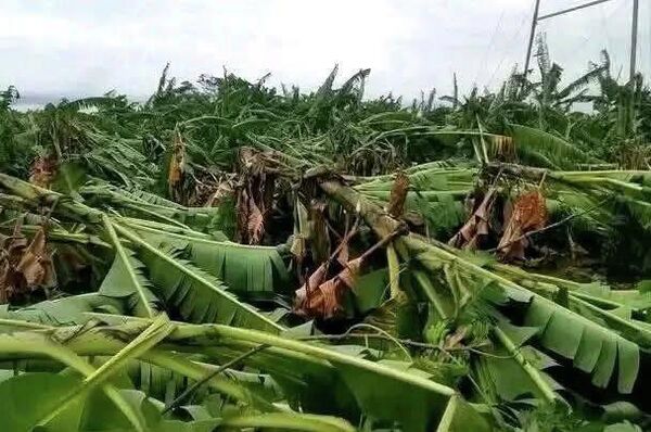 Landslides and Flooding Reportedly Claim 30 Lives in Southern Ethiopia - Sputnik Africa