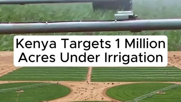 Turning Dry Kenyan Lands Green to Secure Food for All - Sputnik Africa