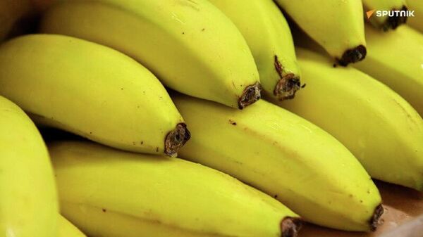 Les exportations de fruits de l'Afrique du Sud touchées par le conflit au Moyen-Orient - Sputnik Afrique