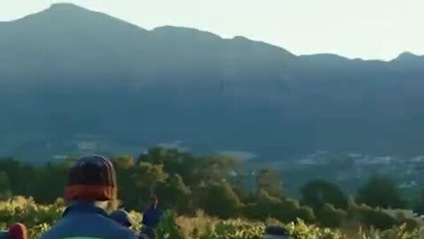 South Africa’s Agricultural Sector Powers GDP Growth in 2025: Minister - Sputnik Africa