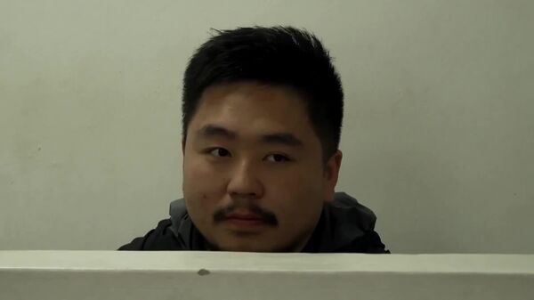 Kenya Detains Man for Attempted Ants Smuggling: Media - Sputnik Africa