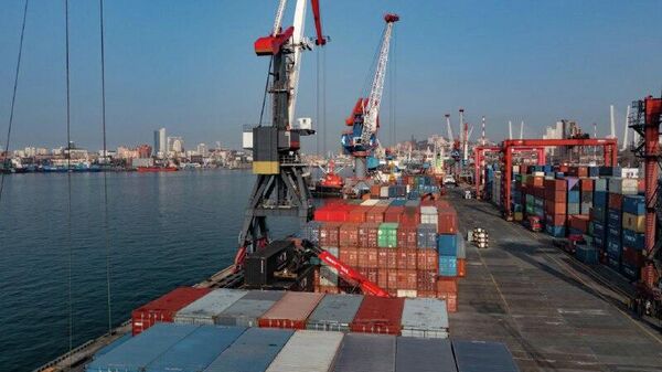 Russia's Vladivostok Port Eyes Expansion Into Africa: Commercial Director - Sputnik Africa