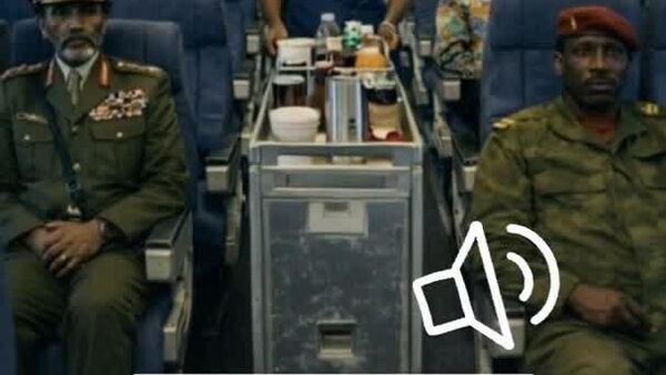 Sankara, Mandela, Kadhafi, Sélassié Ier: et si le destin les avait réunis à bord du même avion? - Sputnik Afrique