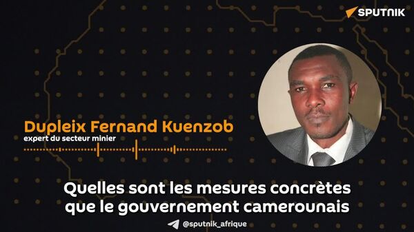 Le trafic d'or au Cameroun ne provient pas de personnes anodines, selon un expert du secteur minier - Sputnik Afrique