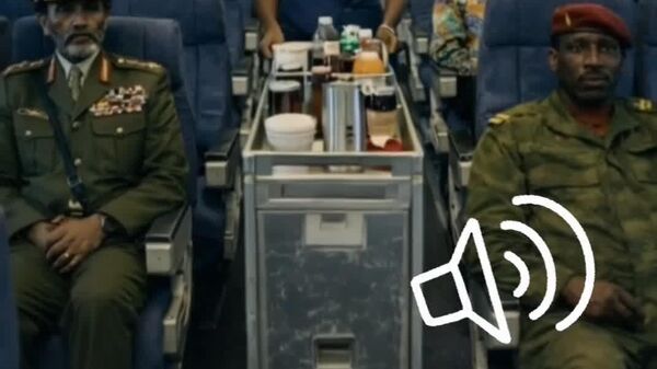 #viral | POV: Your 2026 Flight Just Got Upgraded to Legendary - Sputnik Africa