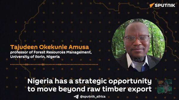 Nigeria’s Timber Ban: New Course for African Forestry? - Sputnik Africa