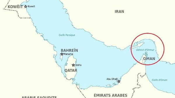 Trump appelle Pékin, Paris et Londres à envoyer leurs navires de guerre dans le détroit d'Ormuz - Sputnik Afrique