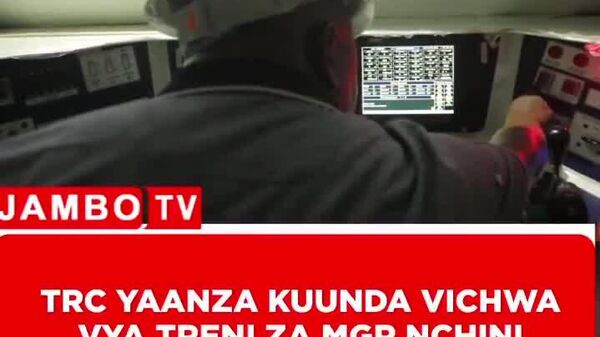 Tanzania Becomes First in East Africa to Assemble Locomotives Locally - Sputnik Africa