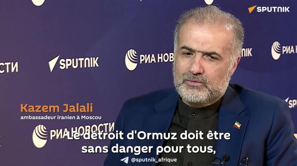 Le détroit d'Ormuz doit être sans danger pour tous, sinon il ne le sera pour personne - ambassadeur d'Iran à Moscou - Sputnik Afrique