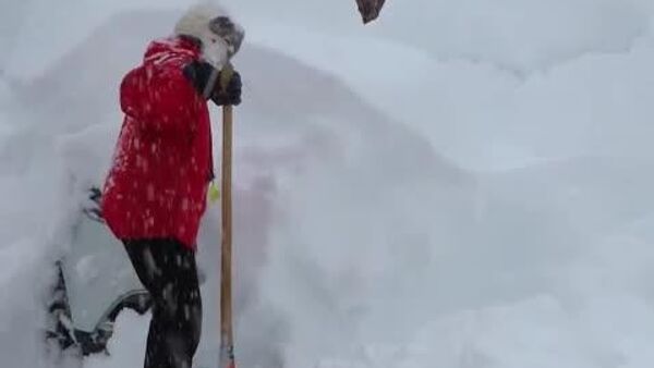 #viral | Northern Italy Struggles With Record Snowfall - Sputnik Africa