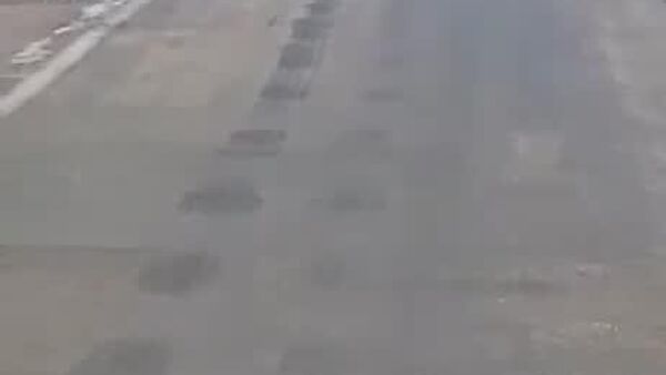 Un tigre fait la sieste au milieu de la route dans l'Extrême-Orient russe - Sputnik Afrique