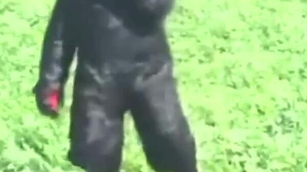 Jusqu'où seriez-vous prêt à aller pour protéger vos récoltes? - Sputnik Afrique