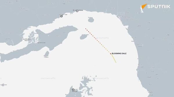 Tankers begin moving through Strait of Hormuz — Hassett - Sputnik Africa