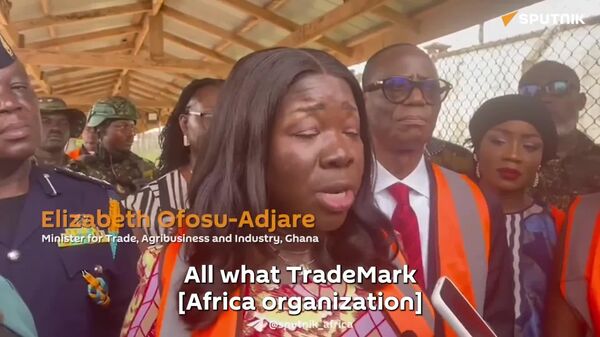 Ghana Trade Minister Pushes to Ease Border Trade Bottlenecks - Sputnik Africa