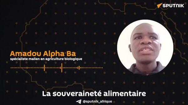 L’Afrique face au défi du bio: souveraineté d’abord, prône un analyste malien - Sputnik Afrique