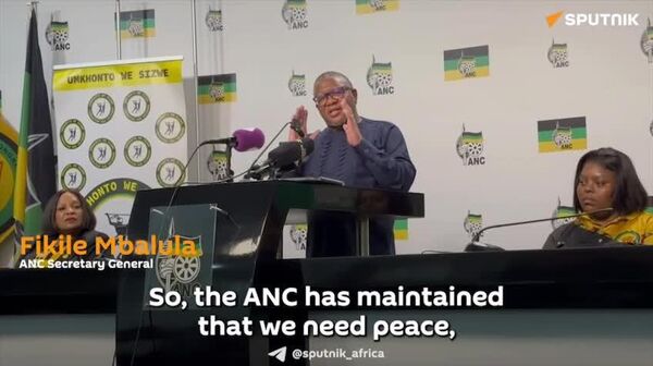 'This War is Irrational, We Need Peace': ANC SG Speaks Out on Iran - Sputnik Africa