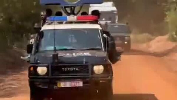 Les rhinos de retour en Ouganda, 40 ans après avoir été décimés par les braconniers - Sputnik Afrique